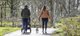 Wandelen met hond en kinderwagen in Sloterpark
